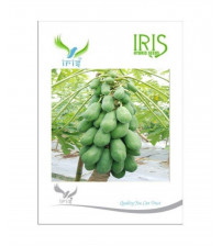 Iris F1 Papaya 10 Seeds